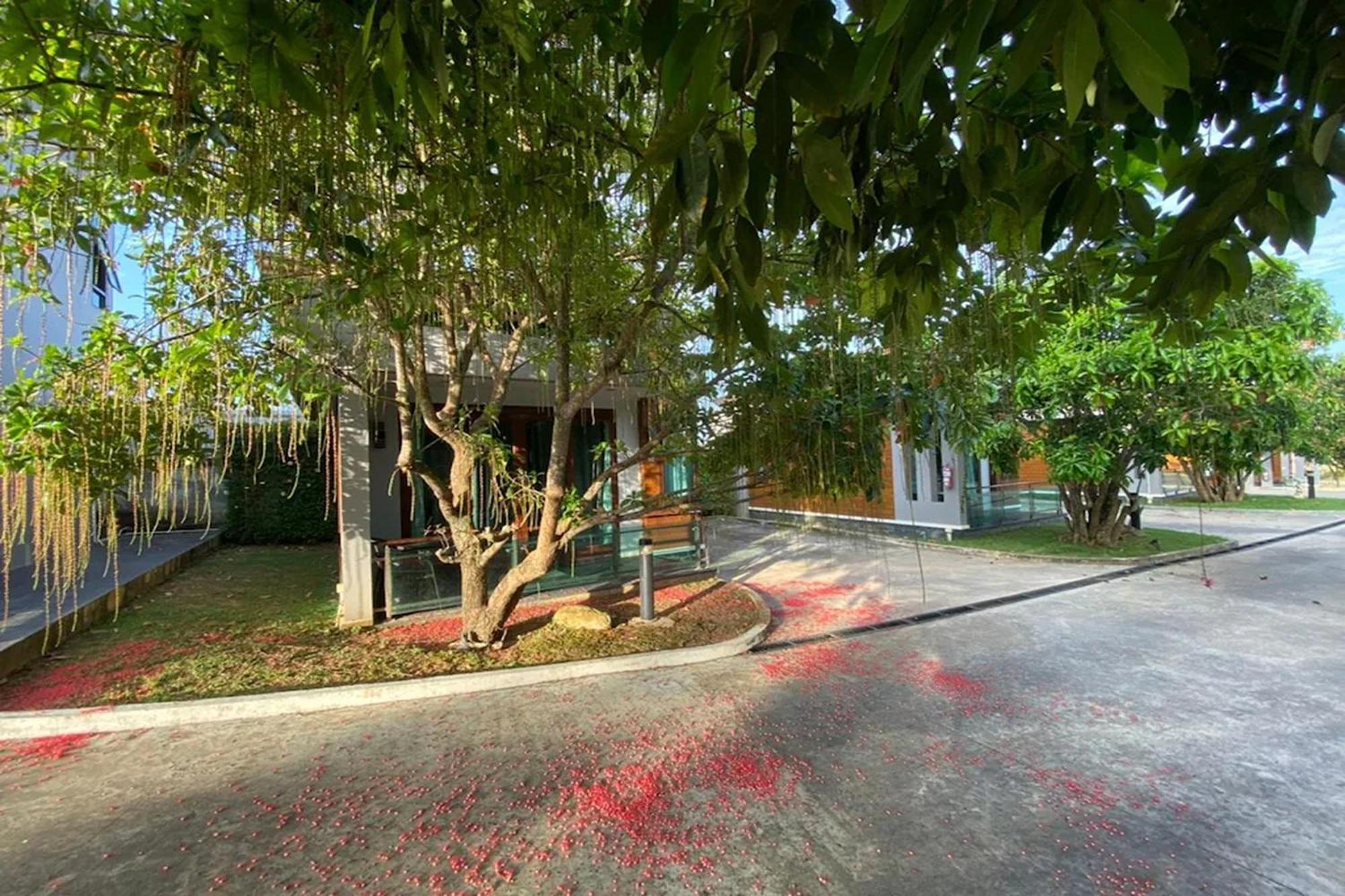 Nutchana Hill Boutique Hotel Hat Yai Eksteriør billede