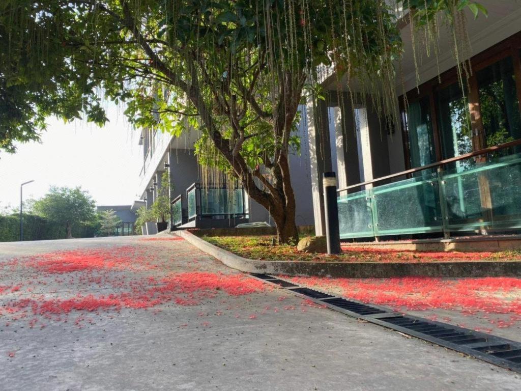 Nutchana Hill Boutique Hotel Hat Yai Eksteriør billede